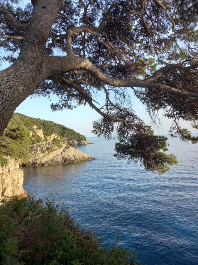 Villa Sea Dream Kolocep Gornje Celo Экстерьер фото
