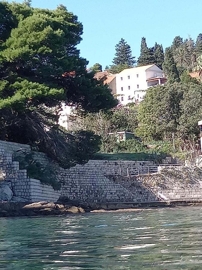 Villa Sea Dream Kolocep Gornje Celo Экстерьер фото