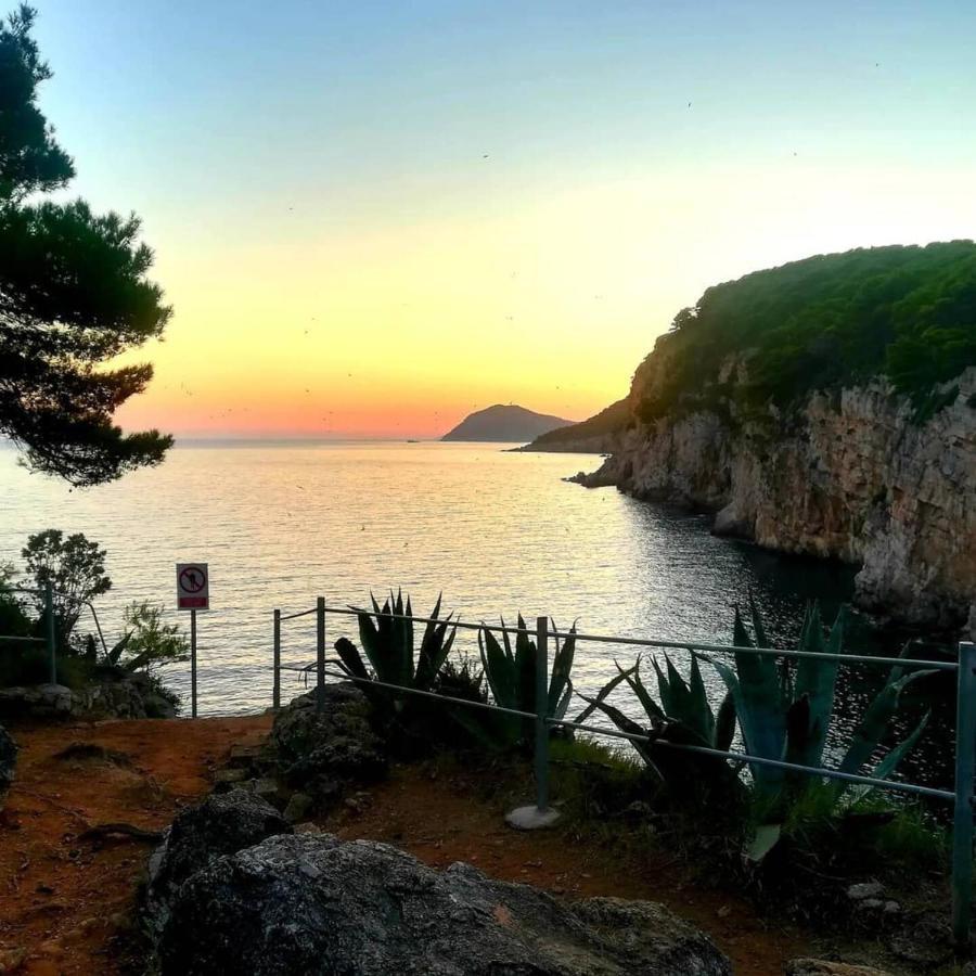 Villa Sea Dream Kolocep Gornje Celo Экстерьер фото